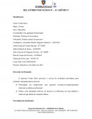 Modelo de Relatório Psicológico