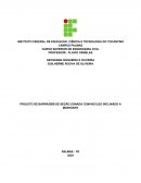 O Dimensionamento de Barragem