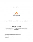 Portifolio análise e desenvolvimento de sistema