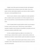 O Desenvolvimento e a Produção de Algodão O Desenvolvimento e a Produção de Algodão