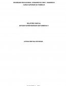 Relatório final de na Farmácia de Manipulação