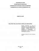 Exemplo de Relatório de Estagio