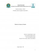 O Alúmen de Aluminio