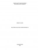 Relatório Final De Estágio Supervisionado