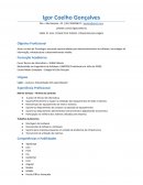 Técnico em Informática