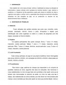 Relatorio Jogo das Cores de Vygotsky