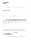 Laudo Analítico do Grupo 1