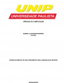 Desenvolvimento De Uma Ferramenta Para Comunicação Em Rede Desenvolvimento De Uma Ferramenta Para Comunicação Em Rede