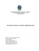 A Instituição SUS A Instituição SUS