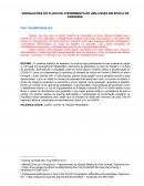 Adequações Do Fluxo De Atendimento De Uma Usafa