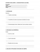 O Comportamento do Consumidor