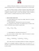 Relatório de Química Relatório de Química