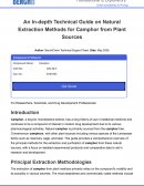 Extraction Methods for Camphor from Plant Sources